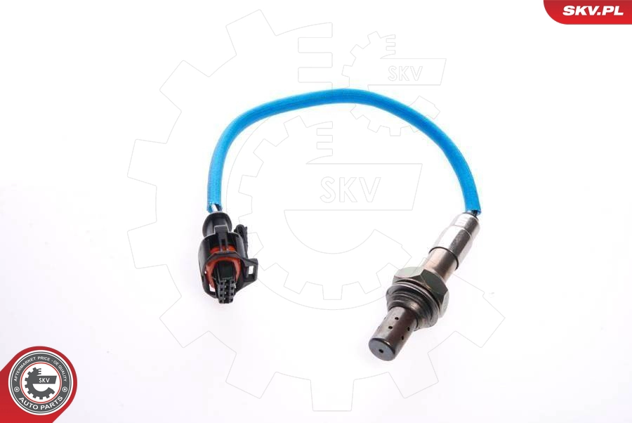 09SKV041