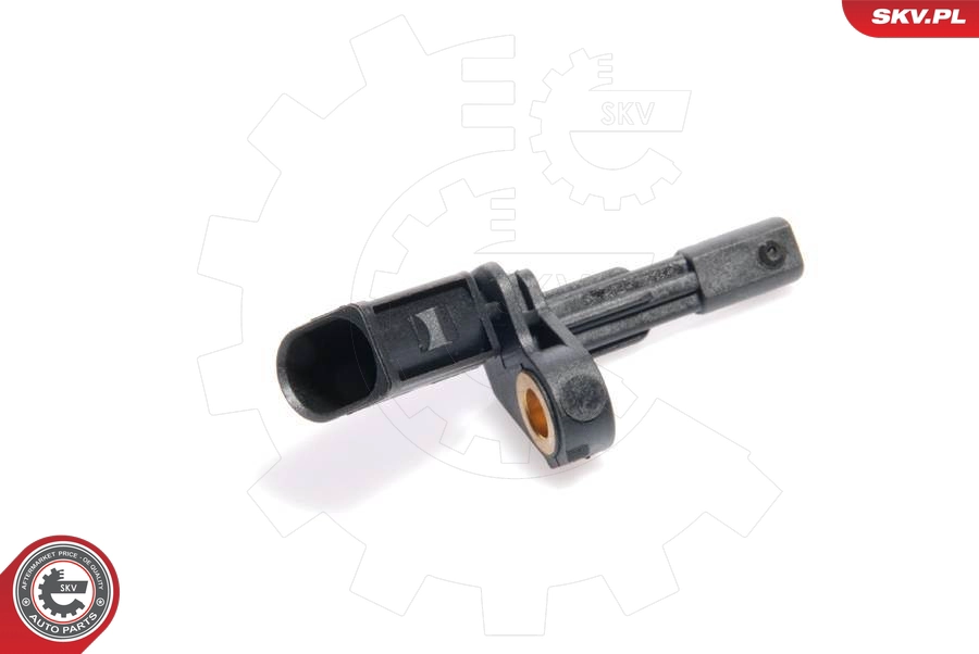 06SKV019