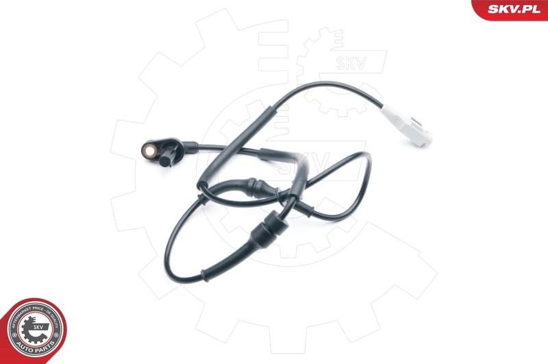 06SKV291