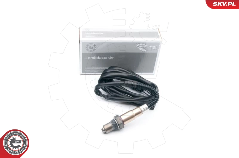 09SKV624