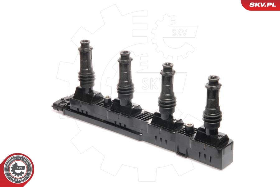 03SKV109