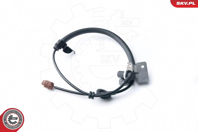 06SKV209