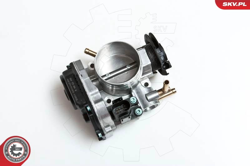 12SKV036