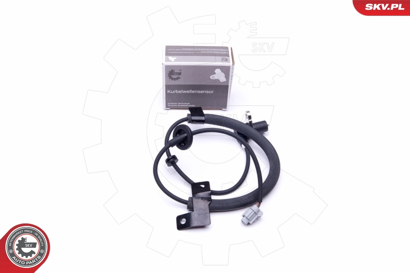 06SKV203