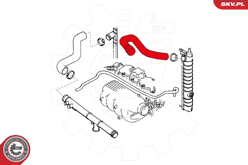 24SKV328