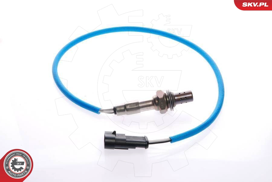 09SKV054