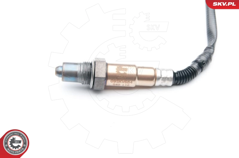 09SKV684
