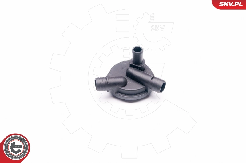 31SKV012