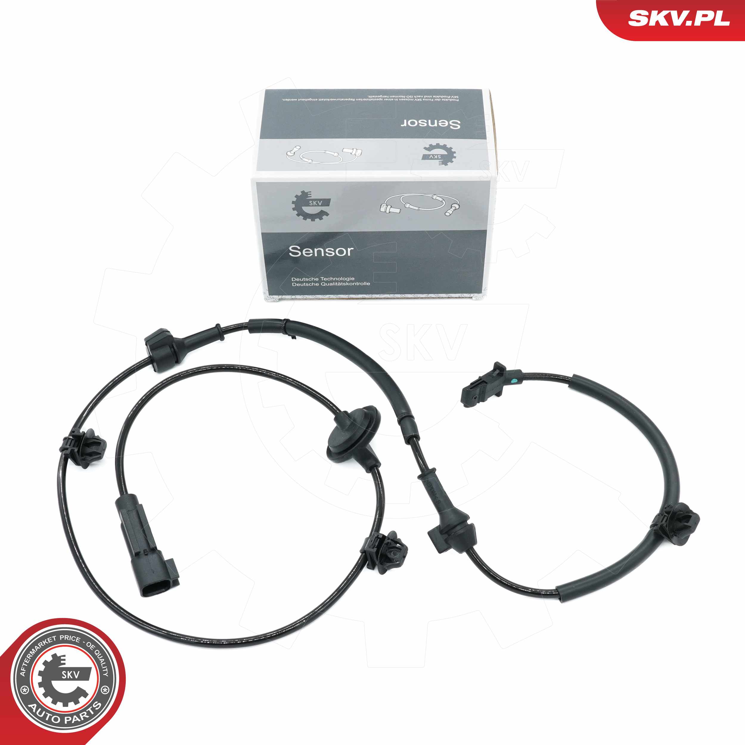 06SKV491