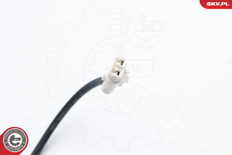 06SKV333