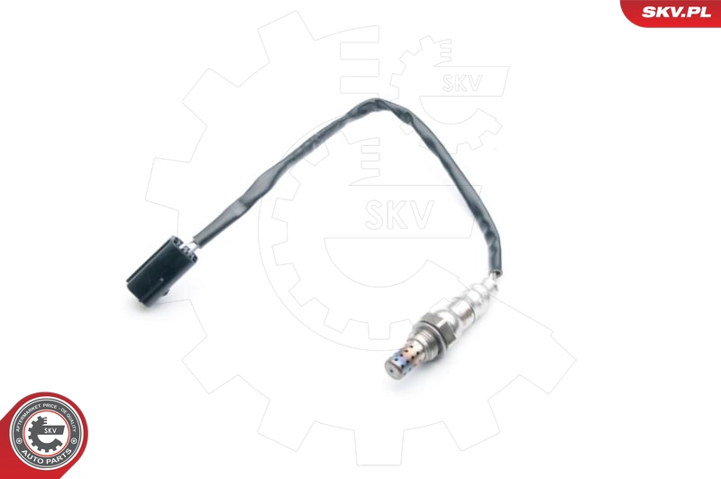09SKV569