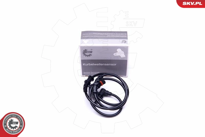 06SKV373