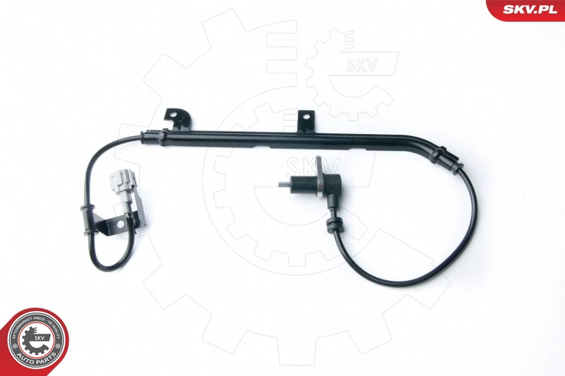 06SKV205
