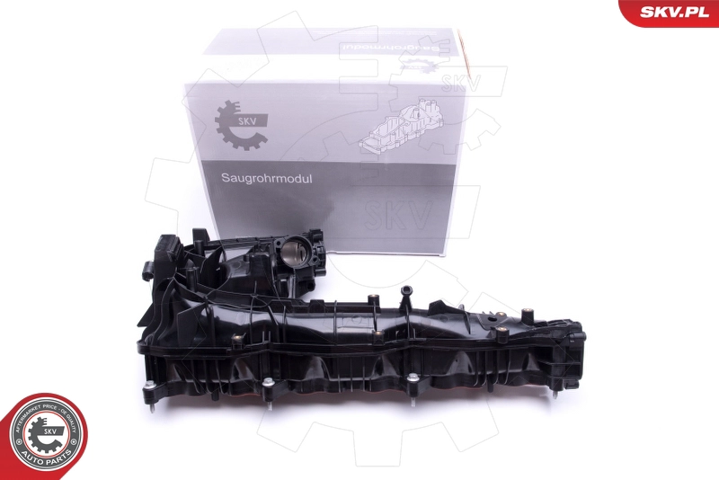 49SKV019