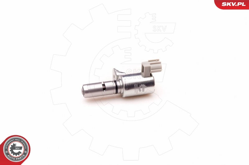 39SKV005