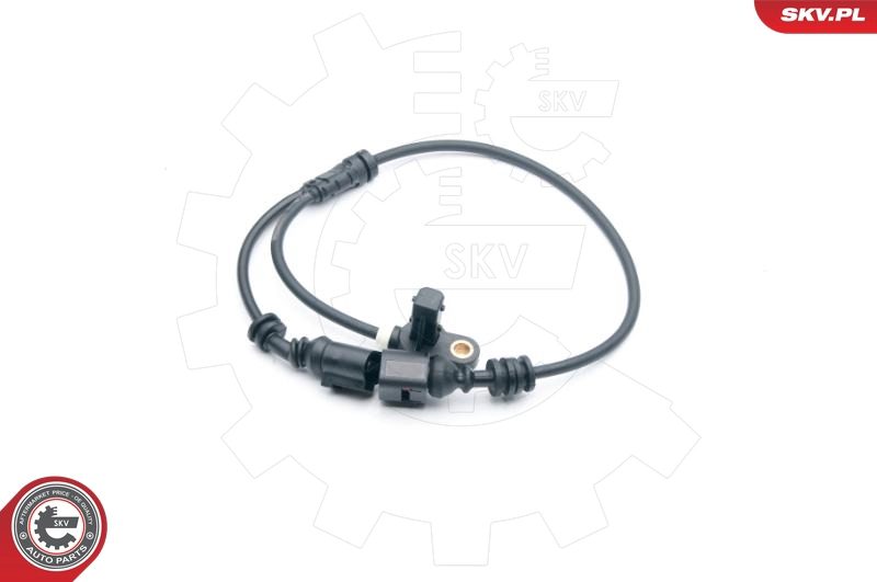 06SKV276