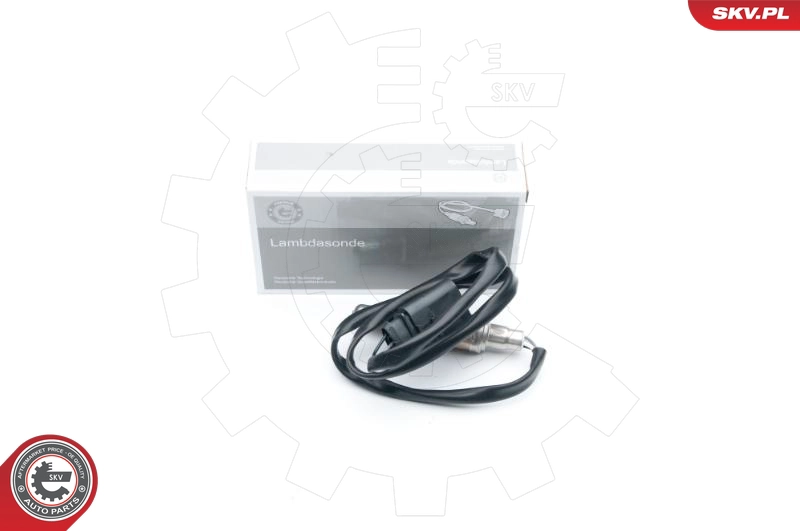 09SKV602
