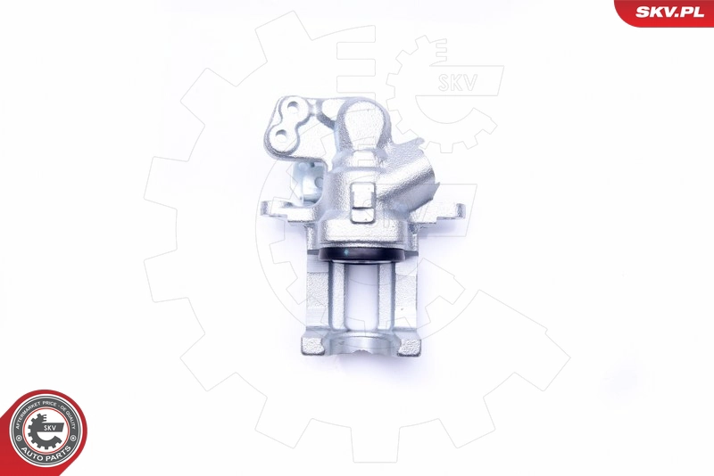42SKV213
