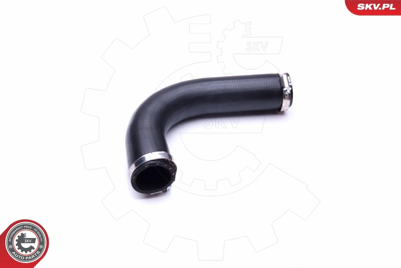 43SKV039