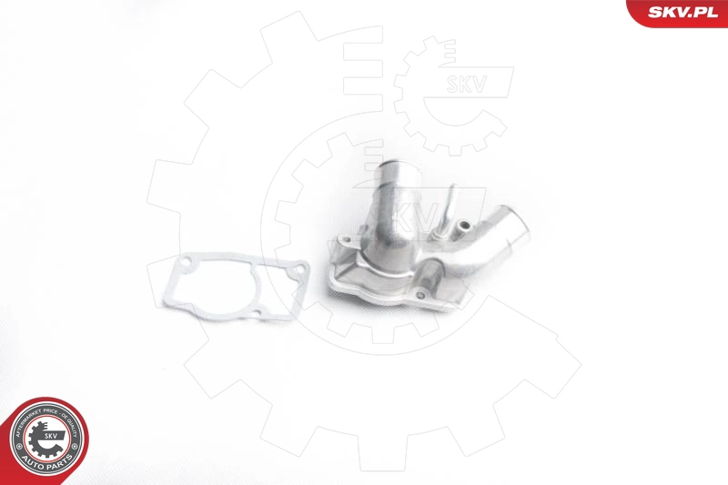 20SKV036