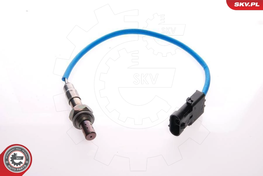 09SKV051