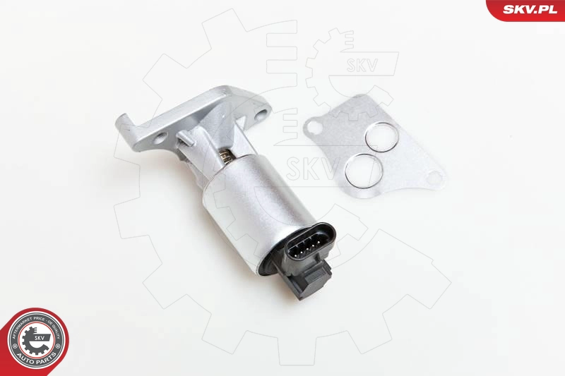 14SKV013