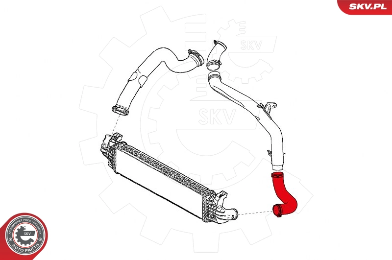 24SKV876