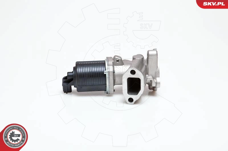 14SKV040