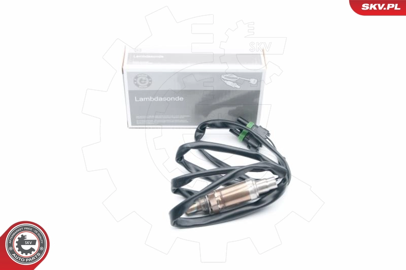 09SKV536