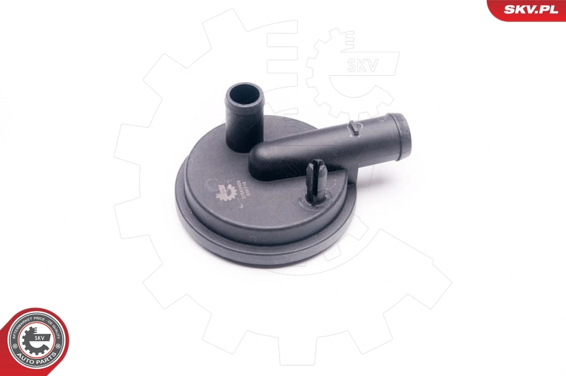 31SKV009