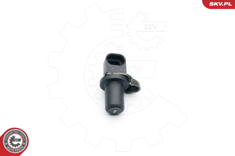 06SKV283
