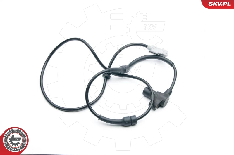 06SKV270