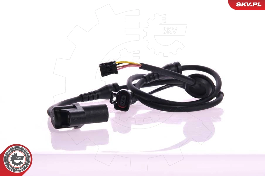 06SKV038