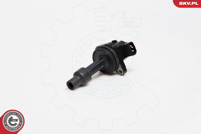 03SKV169