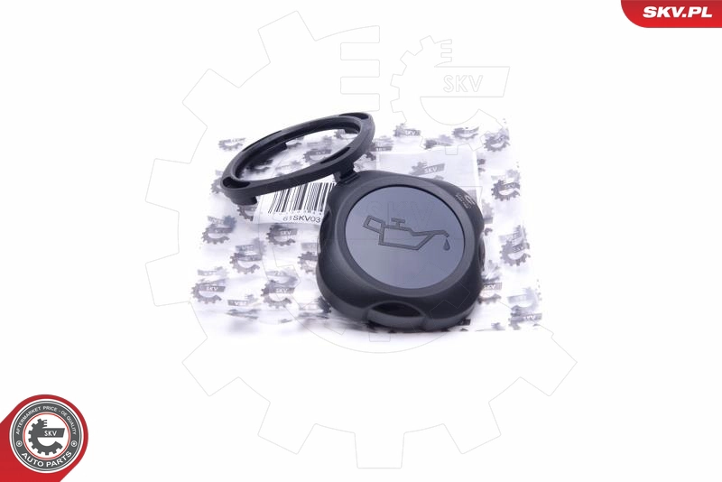 61SKV031