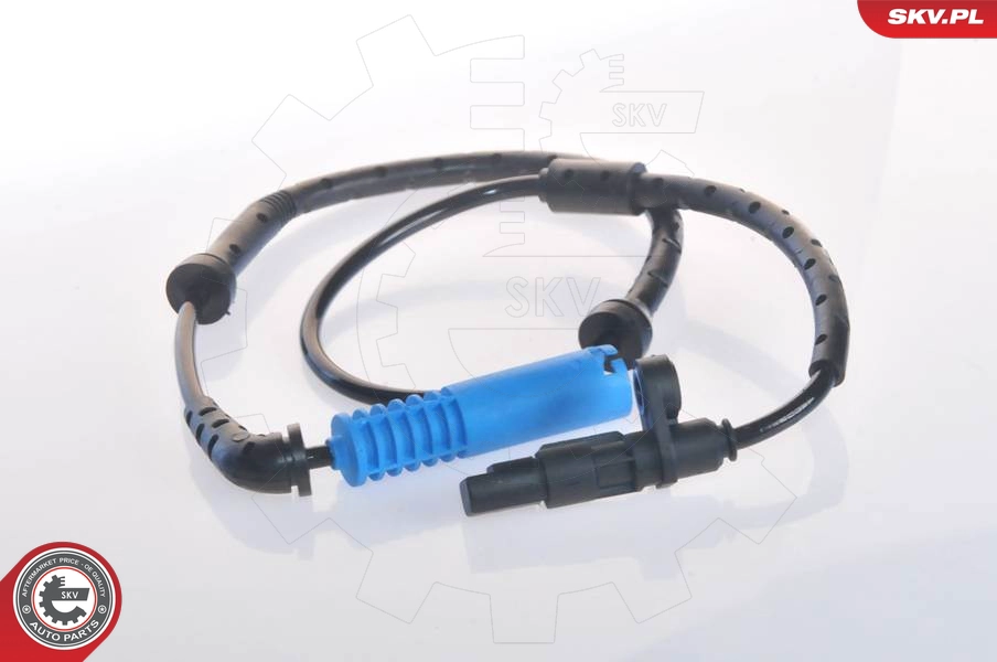 06SKV063