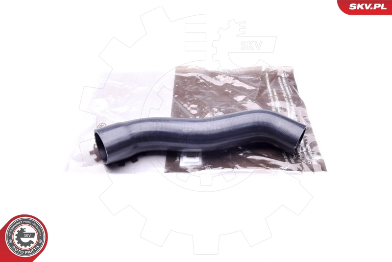 43SKV079