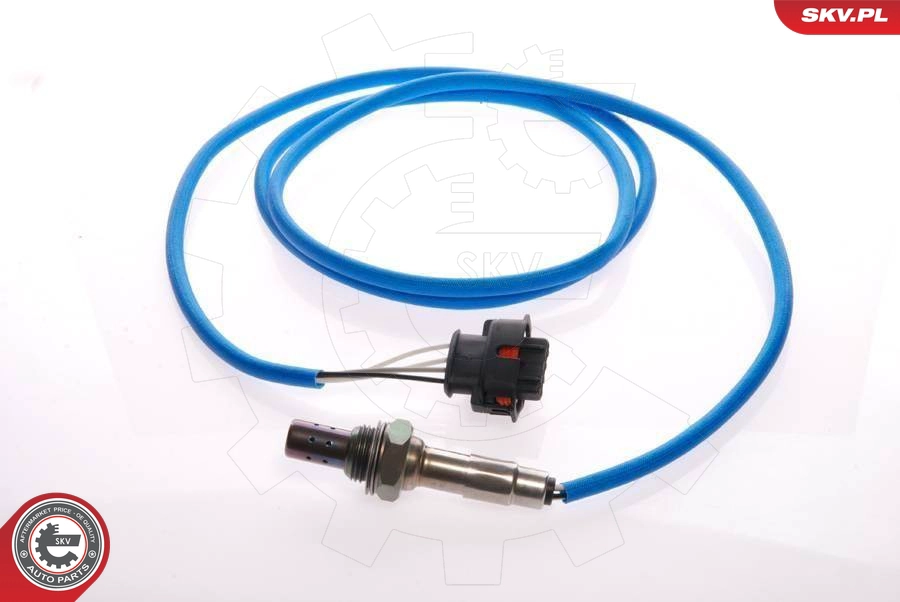 09SKV055