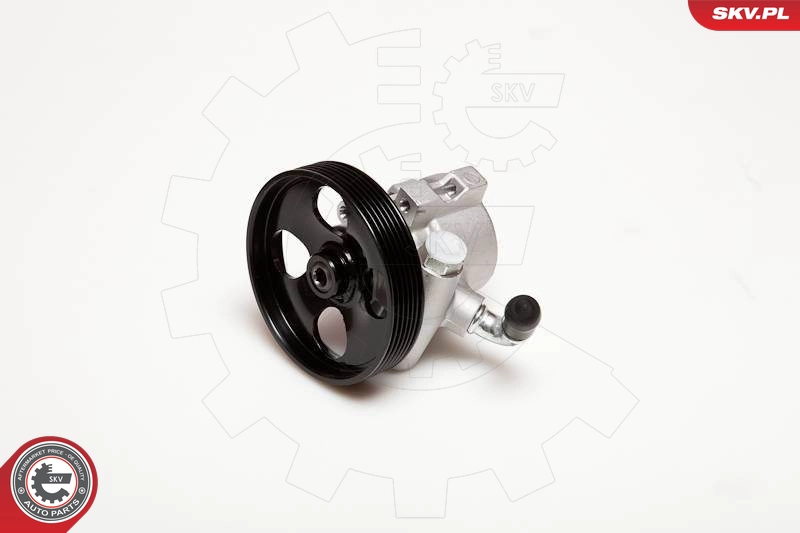 10SKV031