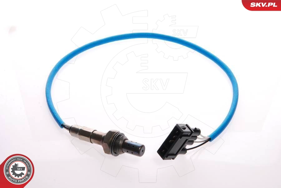 09SKV030