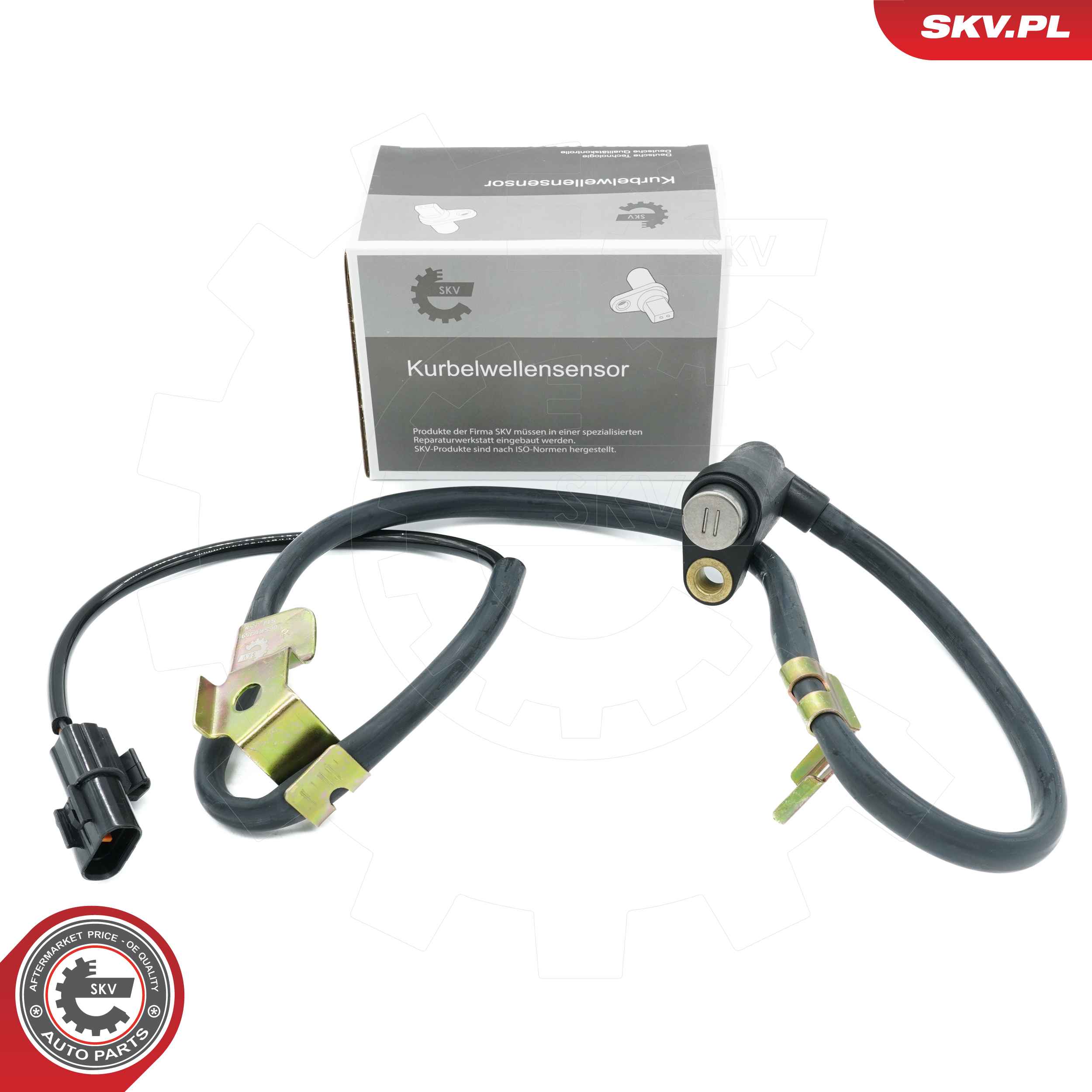 06SKV459