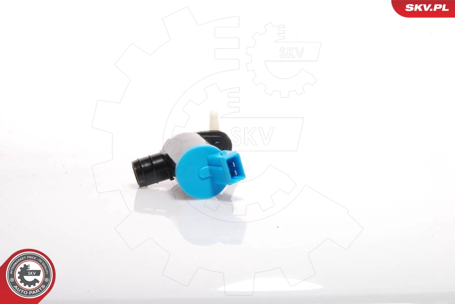 15SKV009