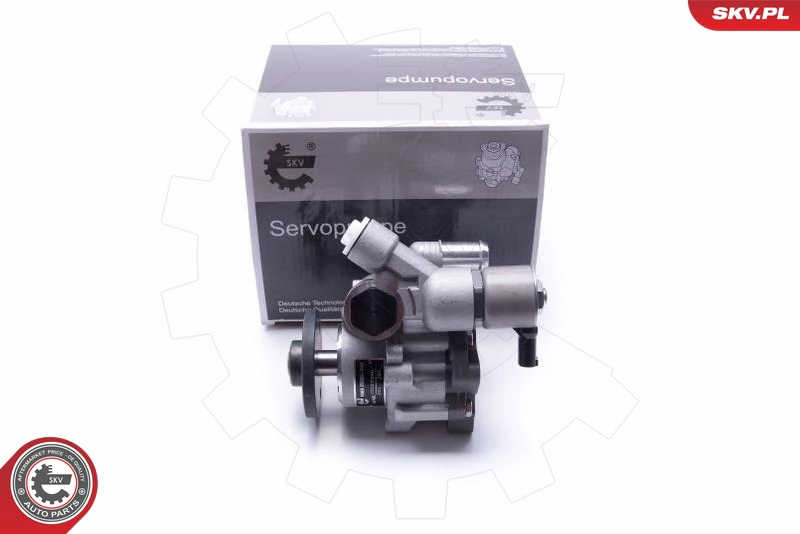 10SKV290