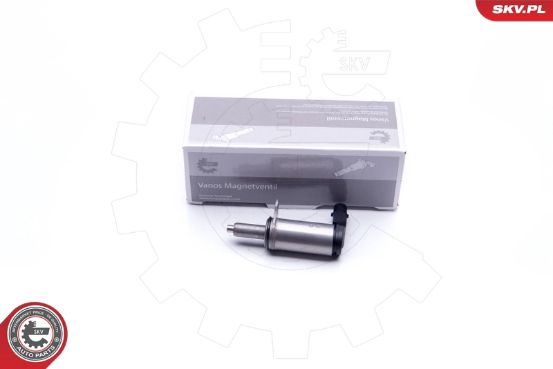 39SKV042