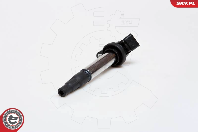 03SKV173