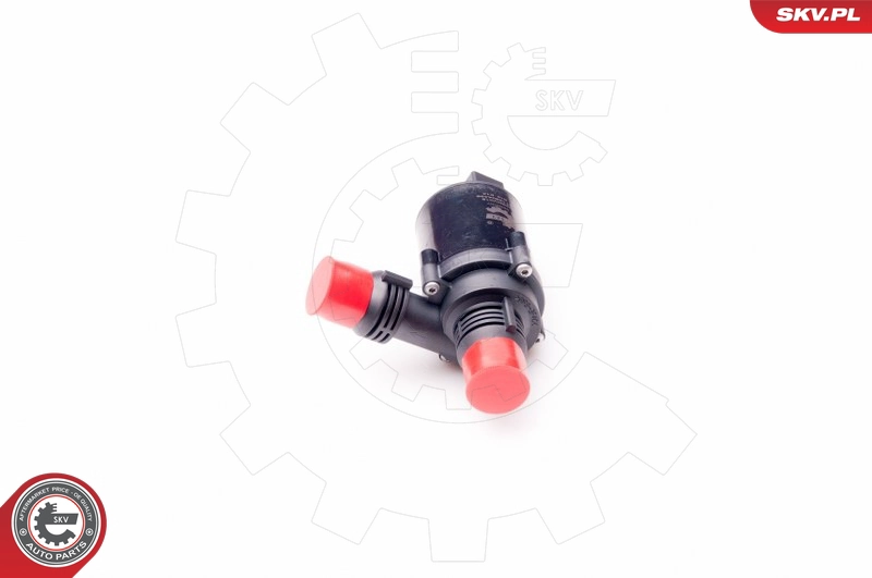 22SKV015