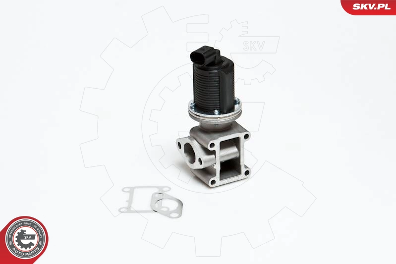 14SKV012