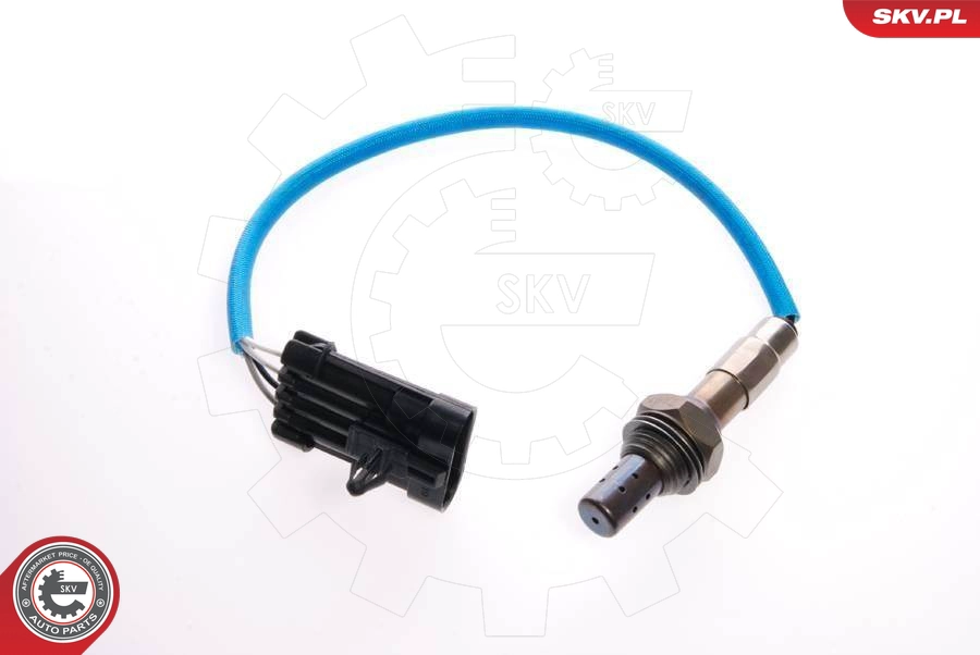 09SKV040