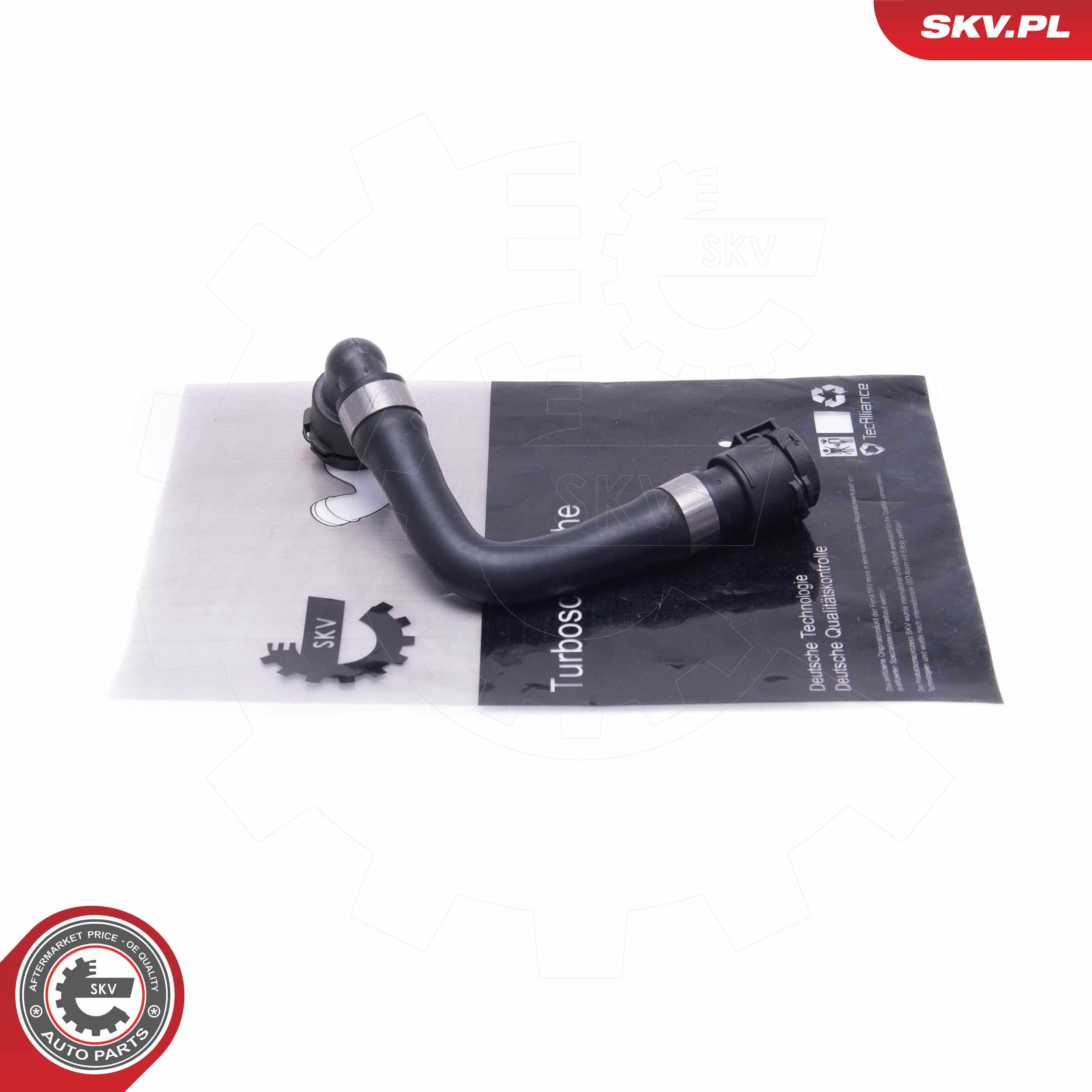 43SKV841