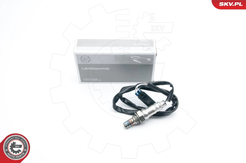 09SKV556